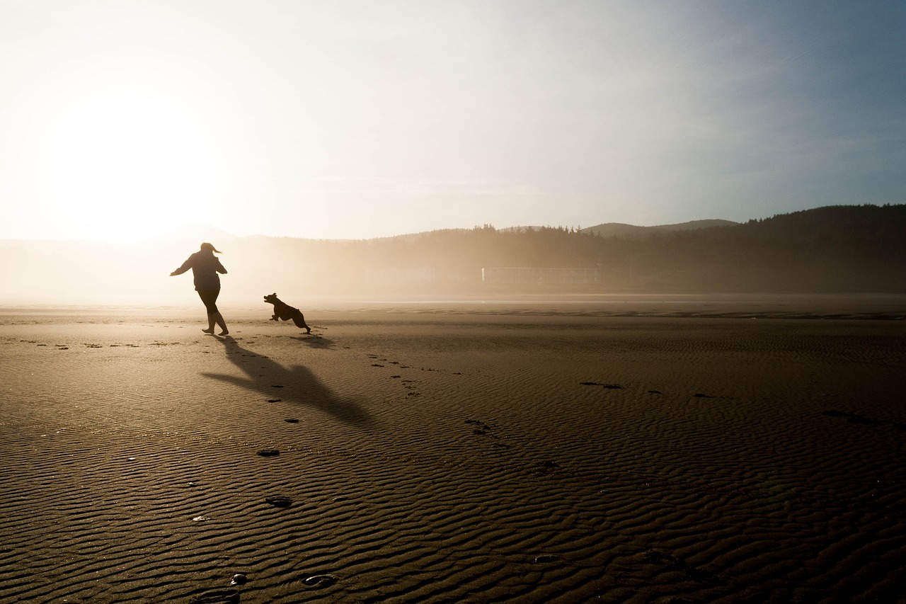Jugando con un perro en la playa